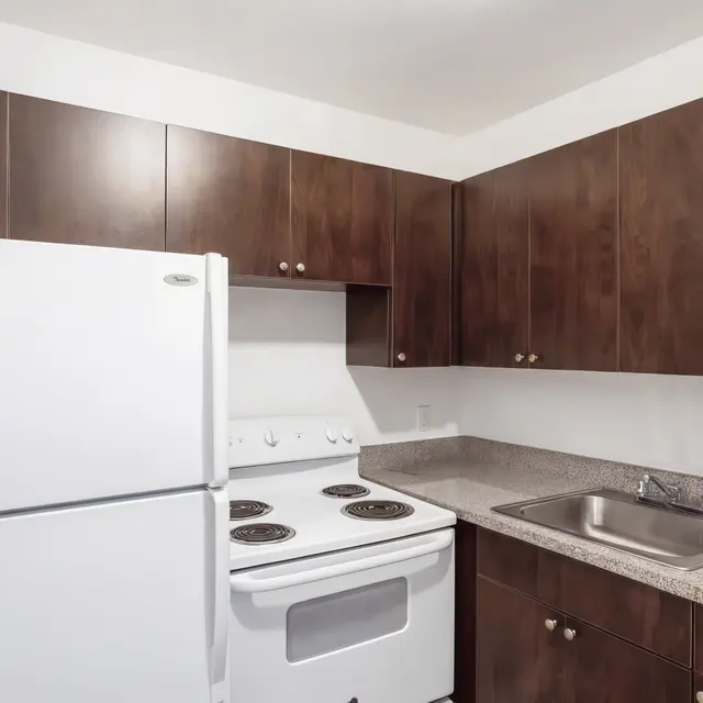 A compact kitchen featuring a white refrigerator, an oven with four burners, a grey countertop, and dark wooden cabinets.