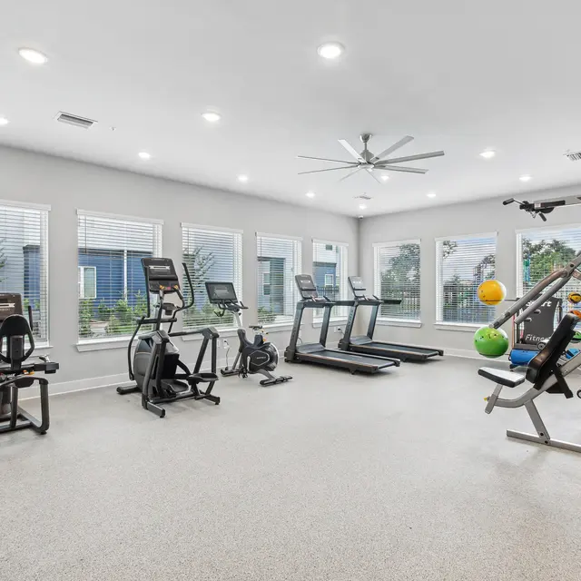EKOS Lake Shadow An interior view of a modern gym with various exercise equipment including treadmills, stationary bikes, and a multi-exercise machine. Large windows allow natural light to brighten the space.