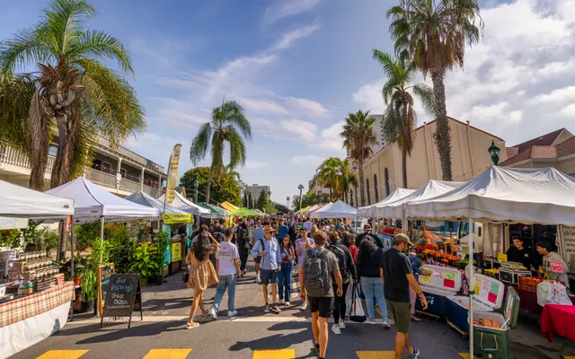 A bustling farmers market with people walking among white tents and palm trees under a blue sky.