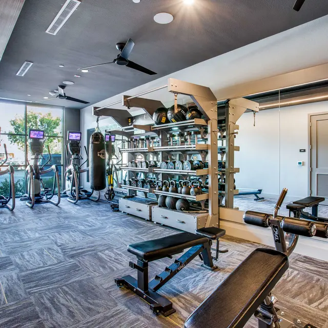 A modern gym interior featuring workout equipment including weight benches, kettlebells, and cardio machines, with large windows allowing natural light in.