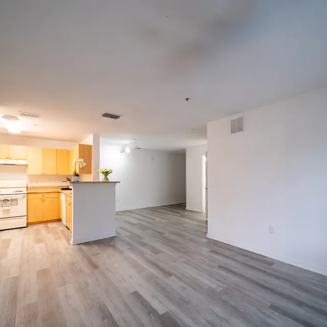 The Ashley (227).jpg