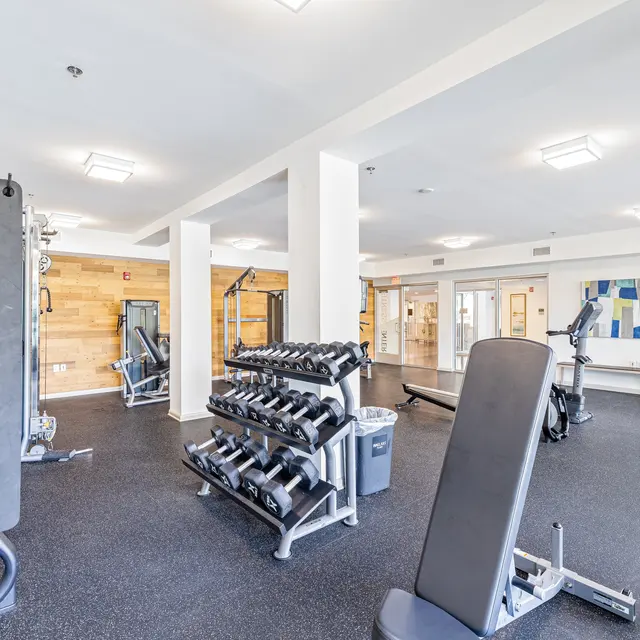 Interior view of a modern gym featuring weight lifting equipment and fitness machines.