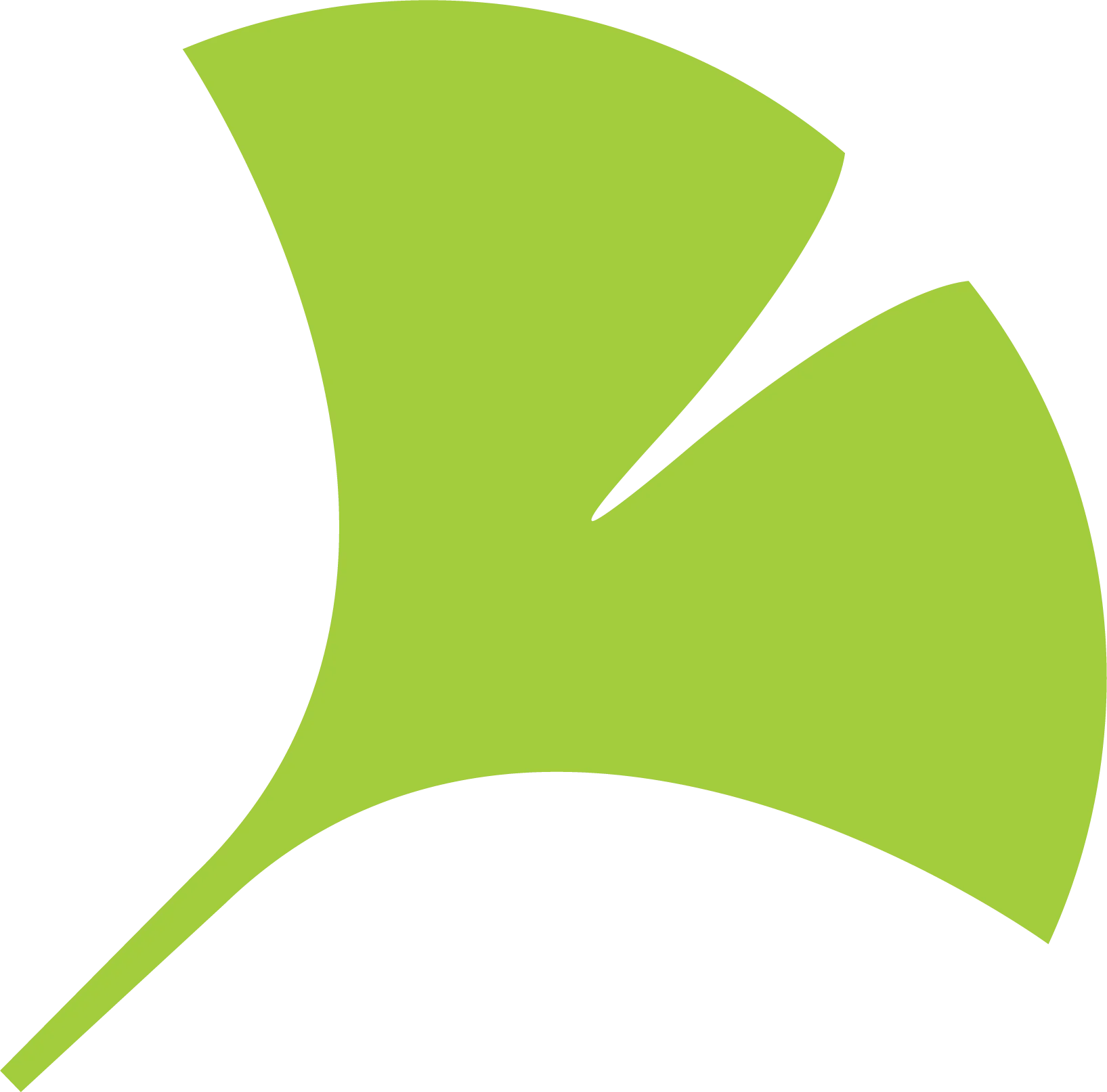 Ginkgo Leaf Illustration A simplified illustration of a ginkgo leaf in a vibrant green color.