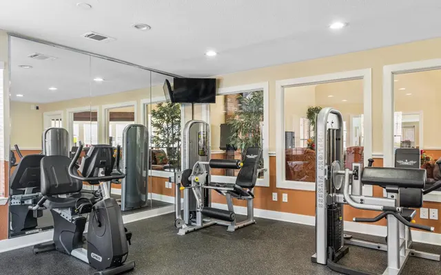A modern gym interior featuring exercise equipment, mirrors, and natural light from large windows.