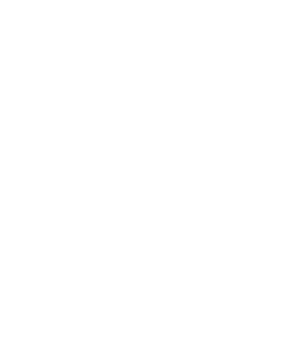 A minimalist logo design featuring a white leaf inside an oval shape.