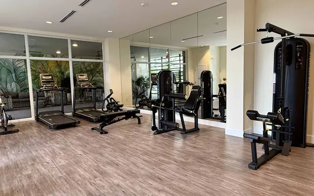 A modern gym interior with various fitness equipment including treadmills, weight machines, and free weights. Large mirrors adorn the walls, and there are plants visible outside the windows.
