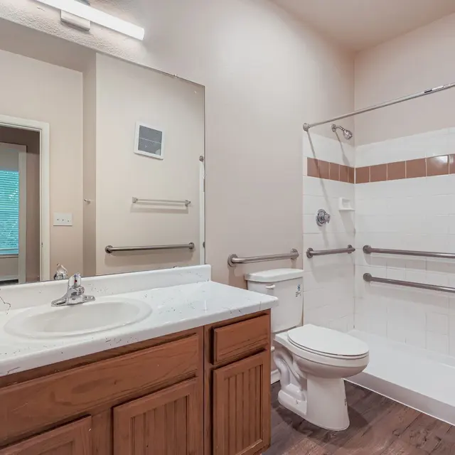 Modern Accessible Bathroom A clean and modern bathroom featuring a double vanity with a white countertop, a large mirror, and a shower with a sliding glass door. The walls are a neutral color and there are safety handrails.