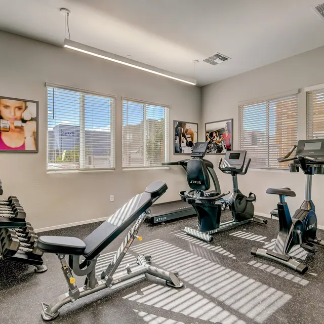 Town Germann - Fitness Center Bright home gym with exercise equipment, including a stationary bike and weights, large windows, and colorful fitness balls.