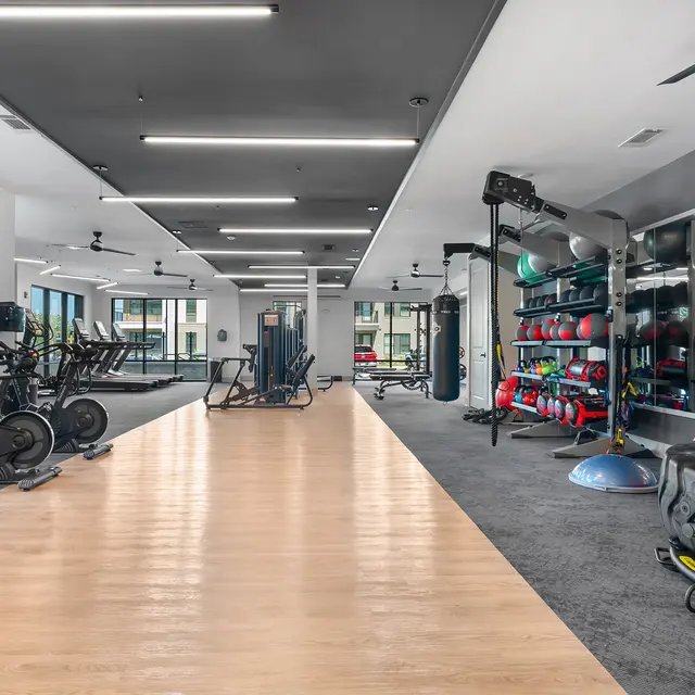 Interior view of a modern gym featuring fitness equipment and exercise machines.