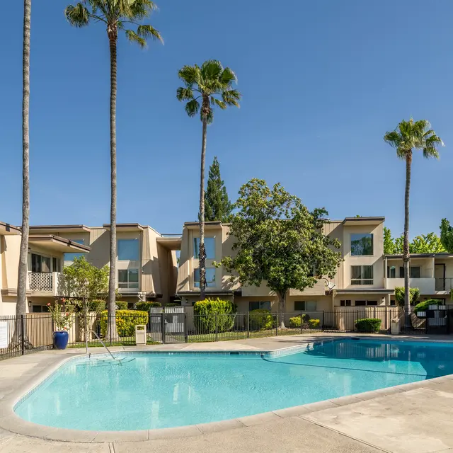 A serene swimming pool surrounded by palm trees and apartment buildings under a clear blue sky.