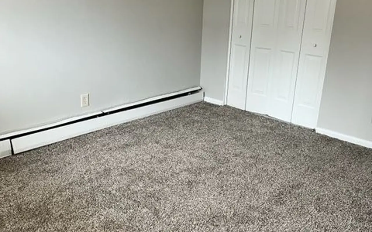 A spacious, empty room with light gray walls and plush, beige carpet. It features a white closet with sliding doors and a single light fixture on the ceiling.