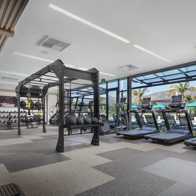 Interior of a modern gym featuring workout equipment, including treadmills, a training rig, and weights, with large windows showing an outdoor view.