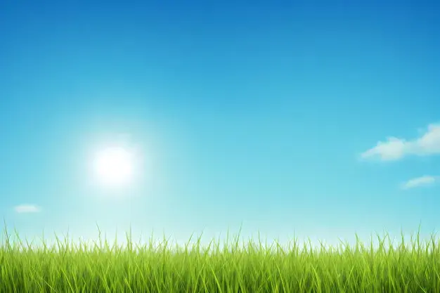 A vibrant green grass field under a clear blue sky with a bright sun and a few fluffy clouds.