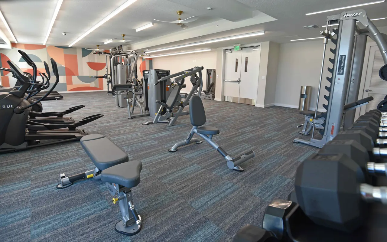 A spacious and modern gym interior featuring cardio machines, weight benches, and a variety of gym equipment. The floor is covered with blue carpet, and the walls are decorated with abstract designs.