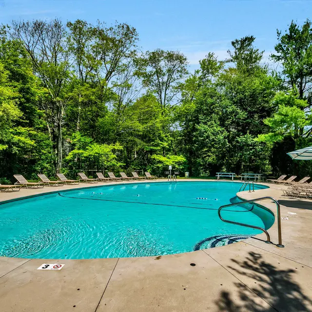 A serene outdoor swimming pool surrounded by lush greenery and lounge chairs.