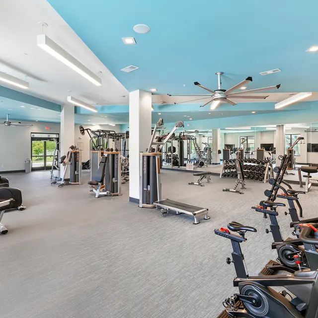 Modern Gym Interior A spacious, well-lit gym featuring various exercise equipment including treadmills, weight machines, and stationary bikes. The walls are painted in light colors with a blue ceiling, creating an inviting atmosphere.