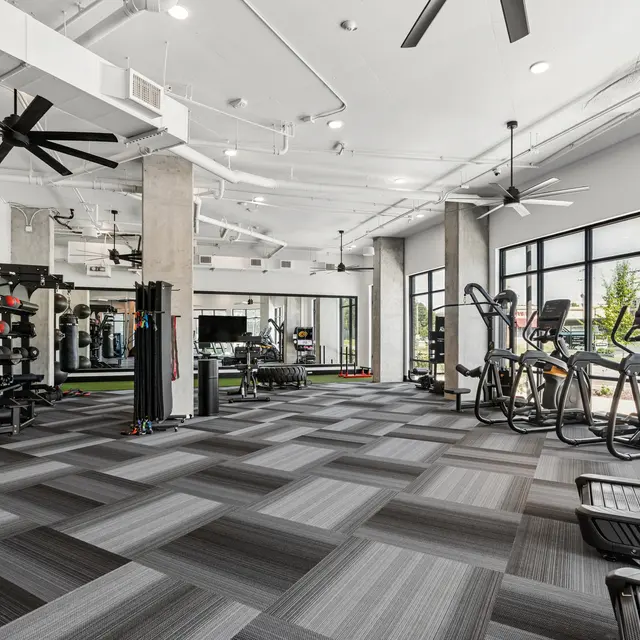 Stylish Gym Interior A sleek and modern gym interior featuring various workout equipment, large windows, and a spacious layout.