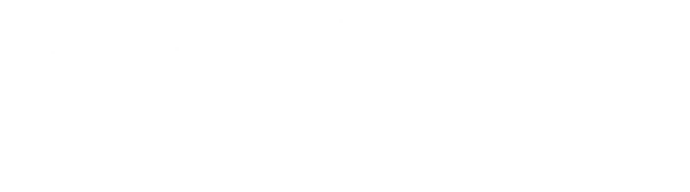 Stylized text saying 'Meet the Team' in white cursive font on a green background.