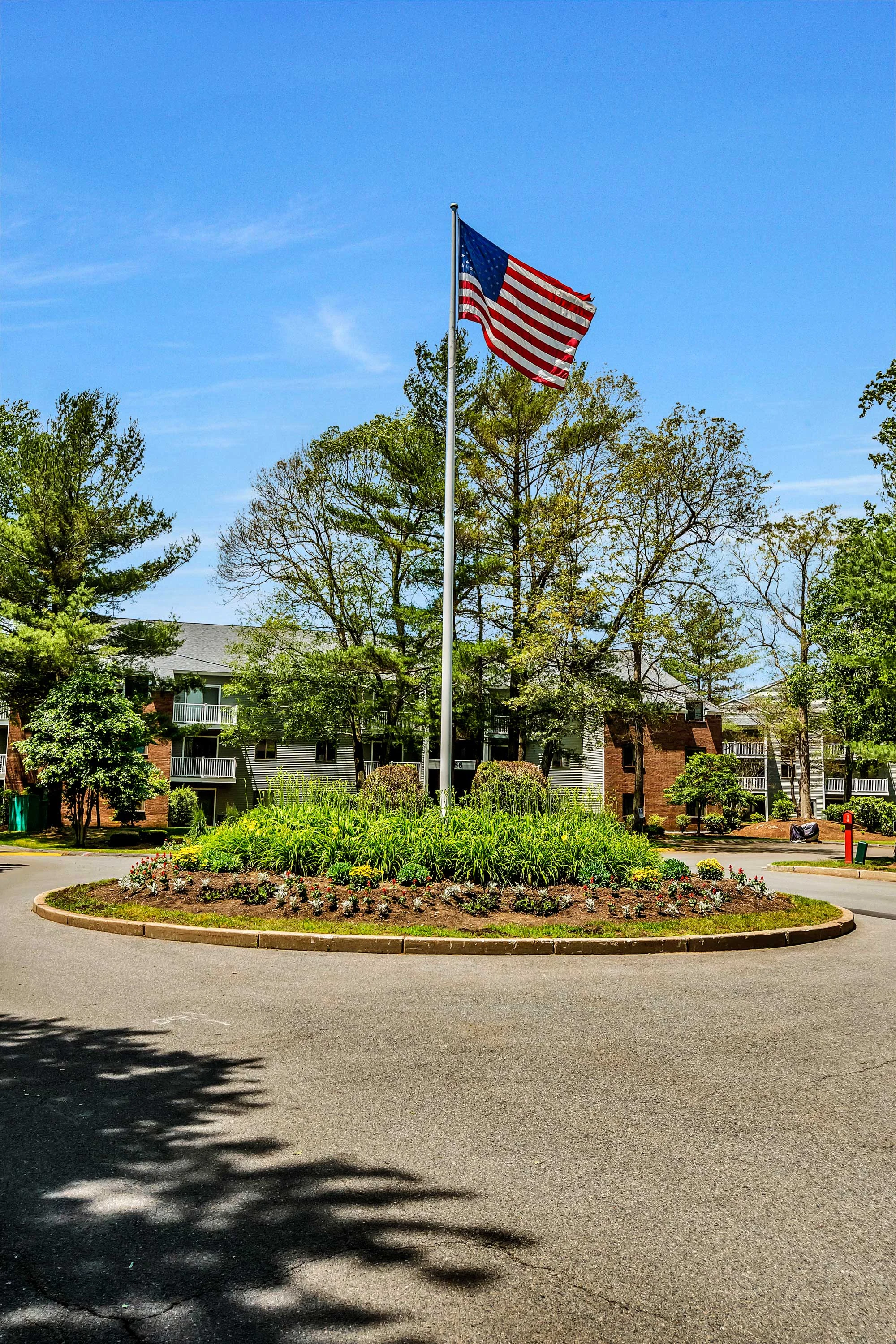 Flagpole in Flower Bed A flagpole with the American flag stands in the center of a circular flower bed surrounded by trees and a building in the background.
