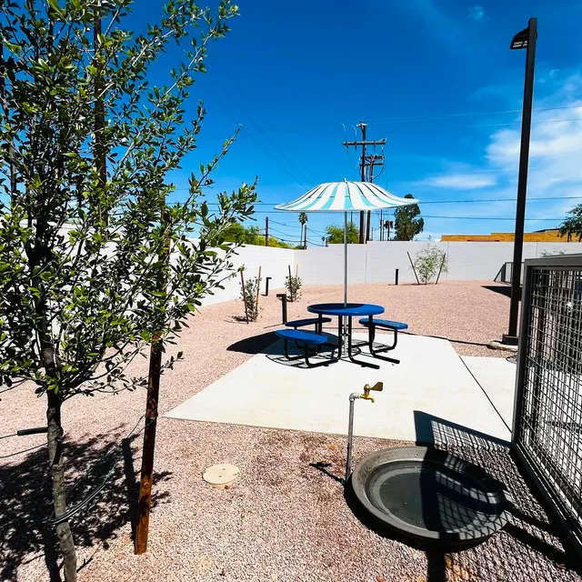 Outdoor recreation area featuring a picnic table with blue seats, surrounded by a gravel landscape, trees, and an umbrella for shade.