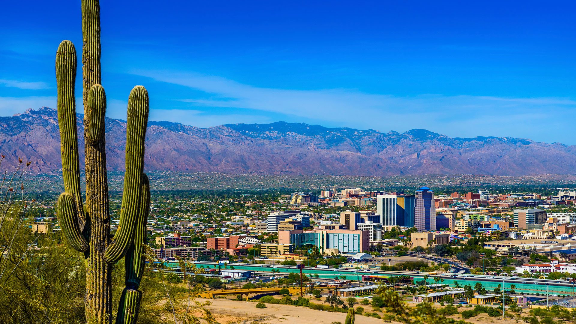 A scenic view of a city surrounded by mountains, featuring a prominent saguaro cactus in the foreground and a clear blue sky.