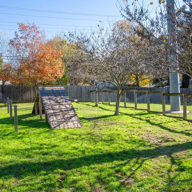 Park, Playground, Outdoors