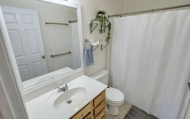 A clean and organized bathroom featuring a white shower curtain, a sink with wooden cabinetry, and a mirror. There is a toilet and some greenery on a shelf.