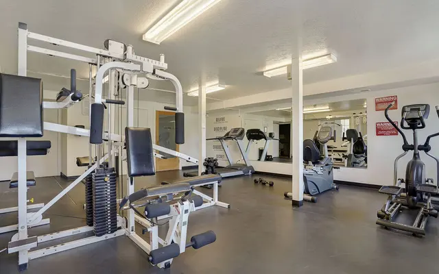 Gym, Fitness, Exercise