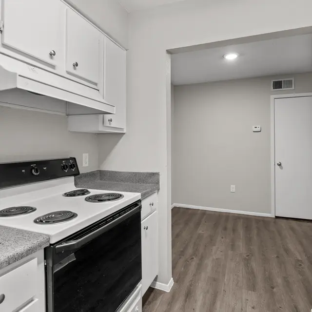 Holly - FP 2A2-Resized Small-11.jpg