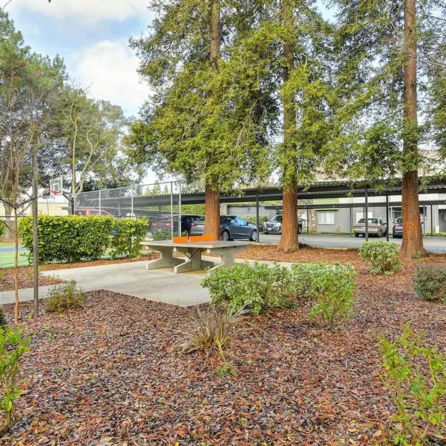 A landscaped park area with a picnic table surrounded by bushes and trees, a pathway leading through the area, and parked cars in the background.