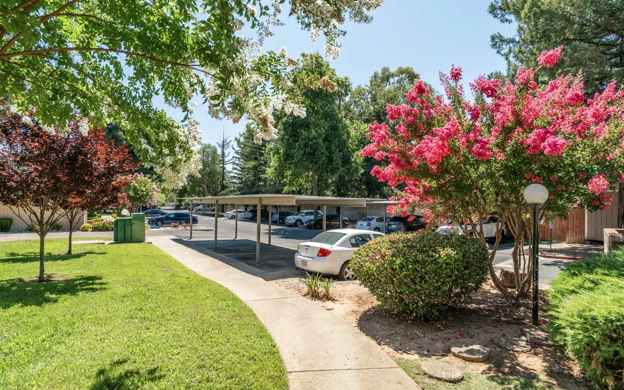 A sunny outdoor scene featuring a parking area surrounded by greenery and blooming flowers.