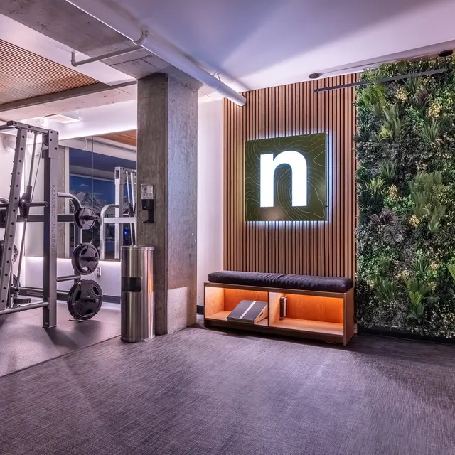 Fitness - True North 