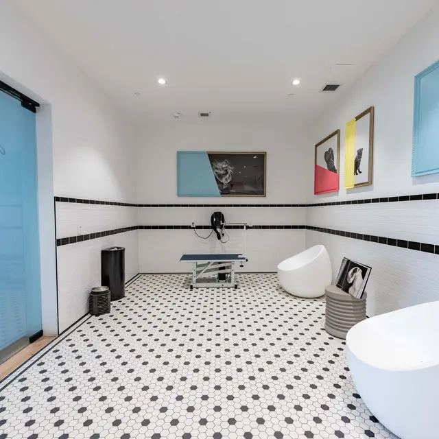 A modern pet grooming room featuring a tiled floor with black and white hexagonal tiles, a glass door, an exercise table, and artistic pet-themed wall decor.