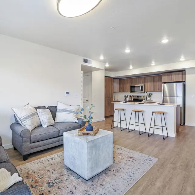 Stylish Modern Apartment Living Room A modern apartment with a cozy living room and an open kitchen. The living area features a gray sofa adorned with decorative pillows, a light-colored rug, and a small coffee table with a plant. The adjacent kitchen has wooden cabinets and bar stools, creating a stylish and inviting space.