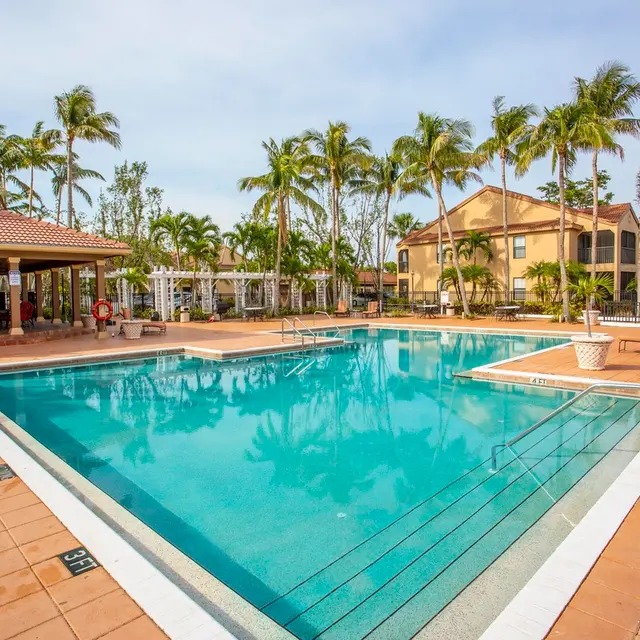 A clean and inviting swimming pool surrounded by palm trees and a well-kept patio area. Colorful buildings are visible in the background.