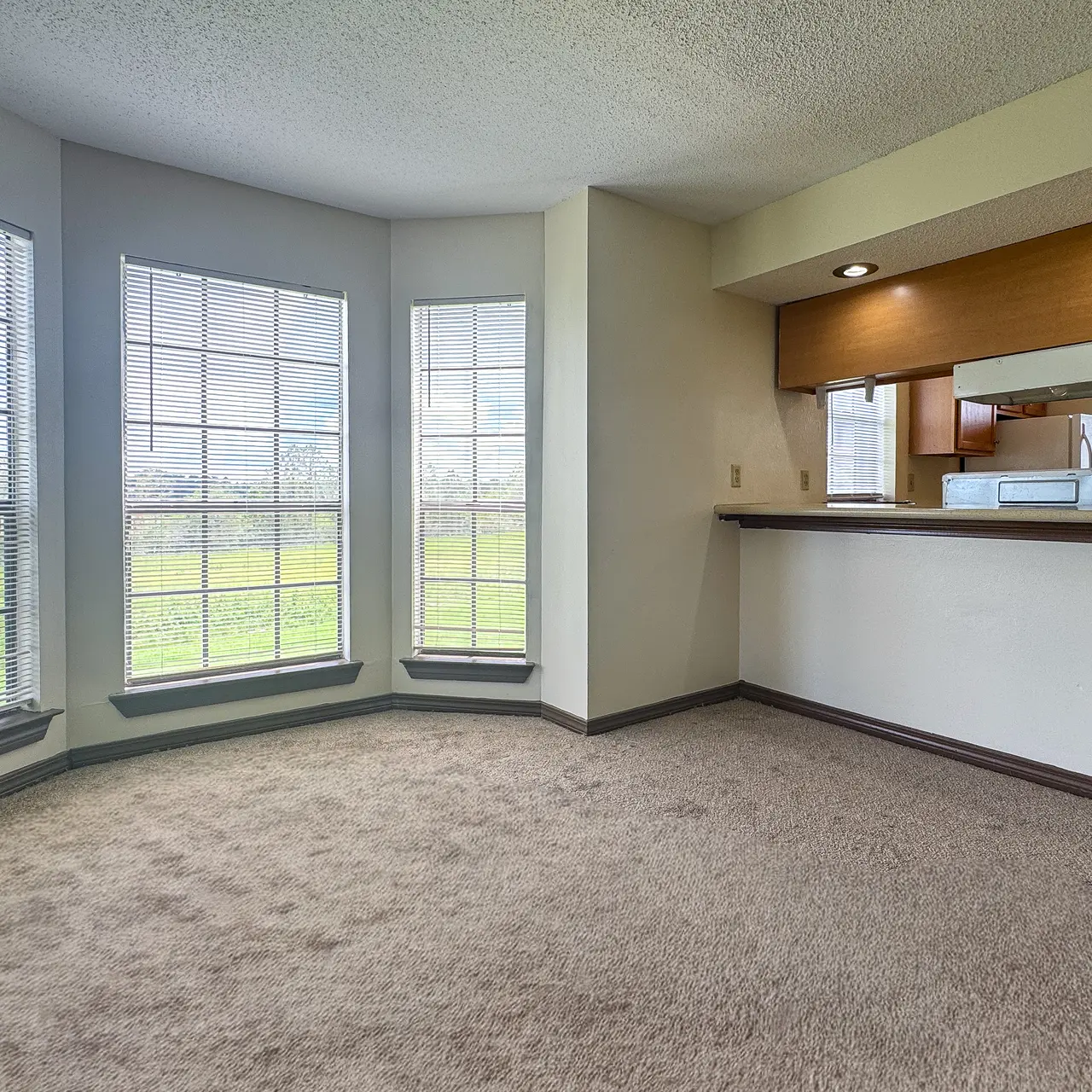 Living room, Interior design, Natural light