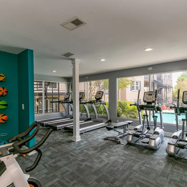 Interior of a modern gym with workout equipment and large windows overlooking a pool area.