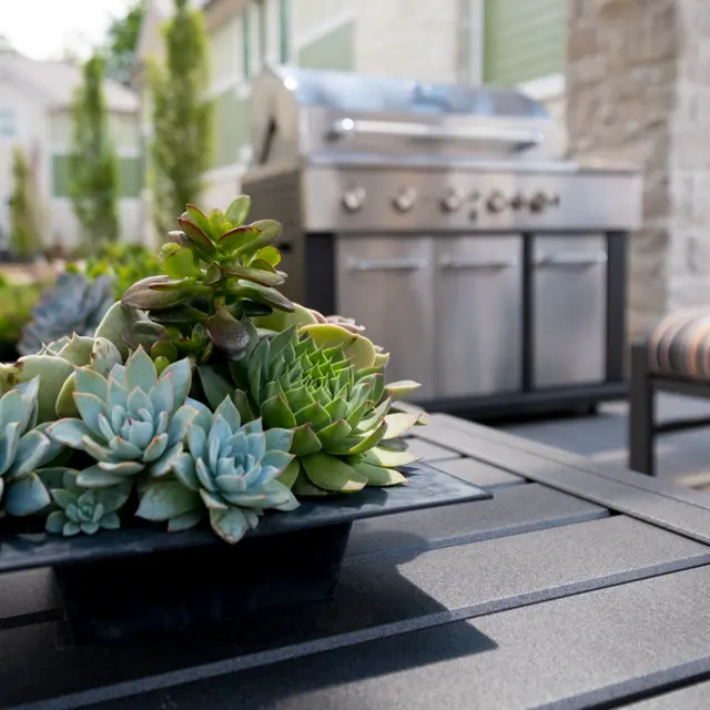 A close-up of a succulent arrangement in a black planter on an outdoor table, with a grill and seating area slightly blurred in the background.