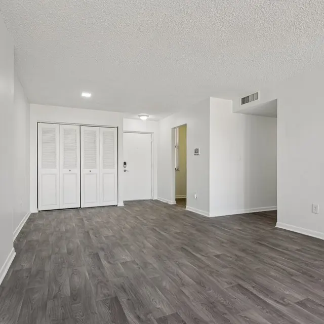 A spacious living room featuring a wood-style floor and light-colored walls, with a view towards a closet and doorway.