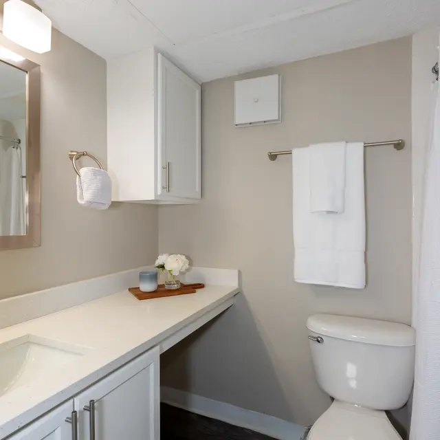 A modern bathroom featuring a sink with a mirror, a toilet, and white towels hanging on a towel rack. The walls are painted in a neutral shade and there is a shower curtain partially visible.