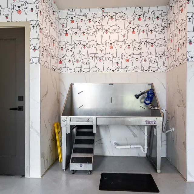 A dog washing area featuring a stainless steel wash tub with steps and accessories, surrounded by walls adorned with a playful dog-themed wallpaper. Two doors are visible on either side of the room, and a black mat lies in front of the wash tub on a smooth floor.