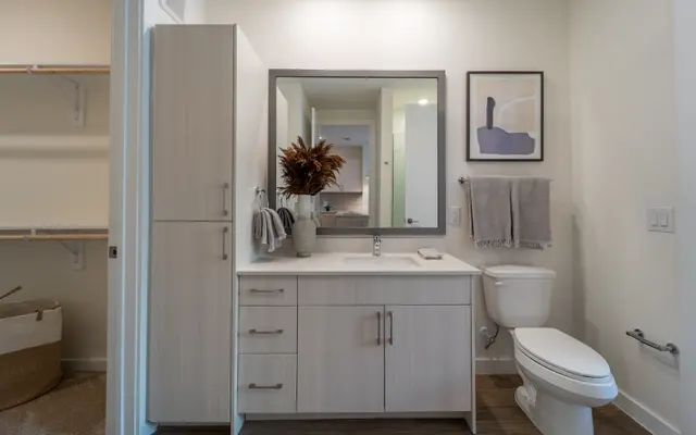 A modern bathroom showcasing a sleek design with a light wood vanity, a large mirror, and minimalistic decor. Features include a white toilet and gray towels hanging on the wall. A closet with open shelving is visible in the background, and a decorative plant adds a touch of style.