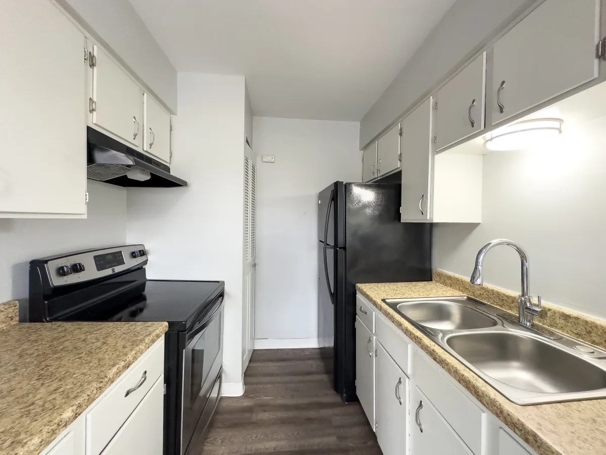 Modern Kitchen Interior A modern kitchen featuring white cabinets, a granite countertop, a black refrigerator, and a black stove. The kitchen is well-lit and has a double sink.