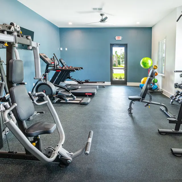 Interior view of a modern gym featuring exercise machines and equipment.