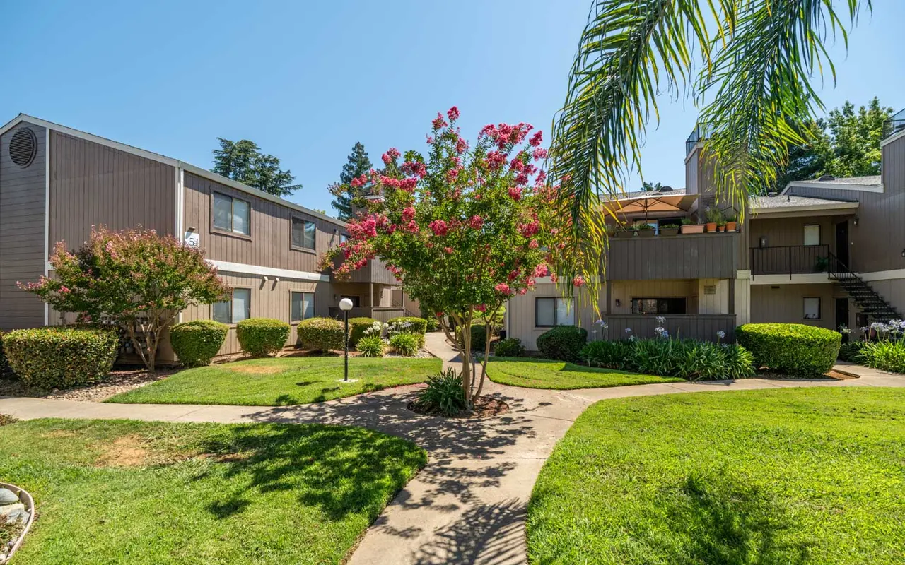 View of a landscaped apartment complex with flowering trees and green grass on a sunny day.