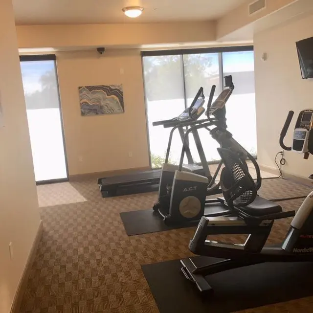 A small gym space featuring two exercise machines, including an elliptical and a stationary bike, with large windows allowing natural light to enter. There is also a painting on the wall and a TV mounted on the wall.