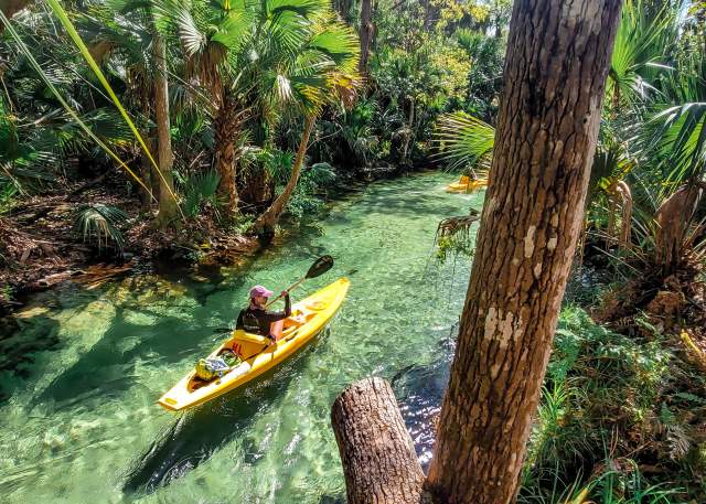 A person kayaking in a clear, tropical river surrounded by lush greenery and palm trees.
