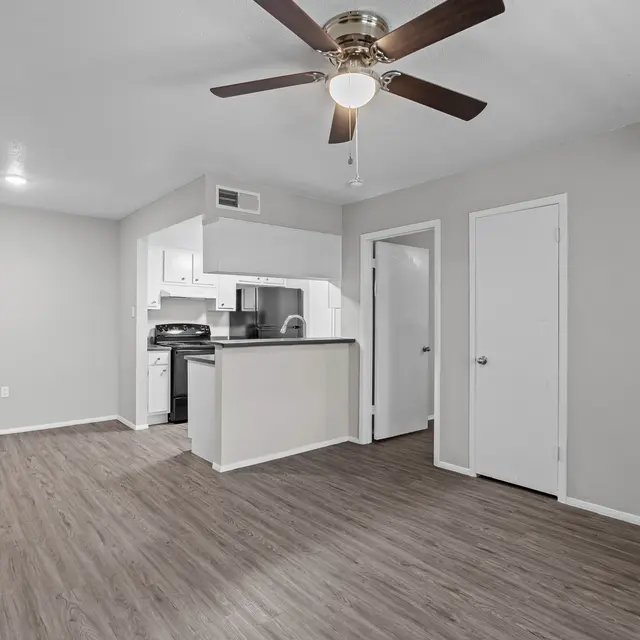 Holly - FP A2-Resized Small-3.jpg