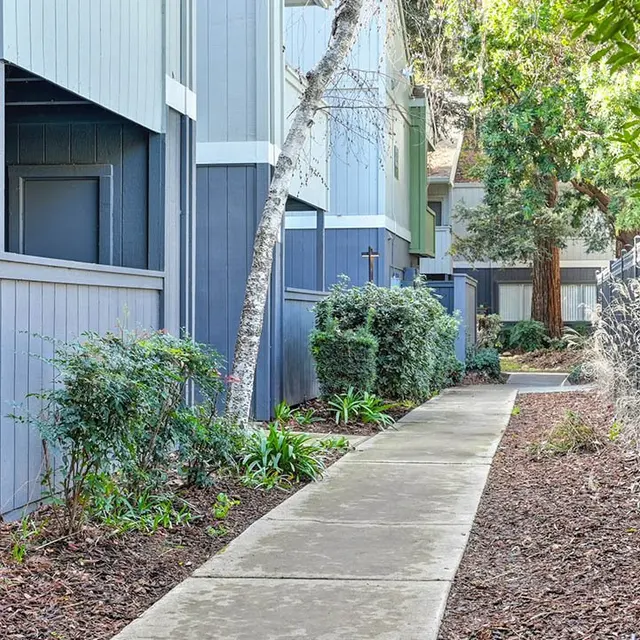 A pathway lined with greenery and shrubs alongside apartment buildings.