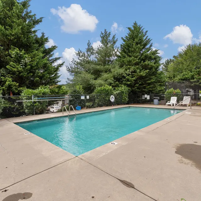 A clear swimming pool surrounded by greenery and lounge chairs with a basketball hoop in the background.